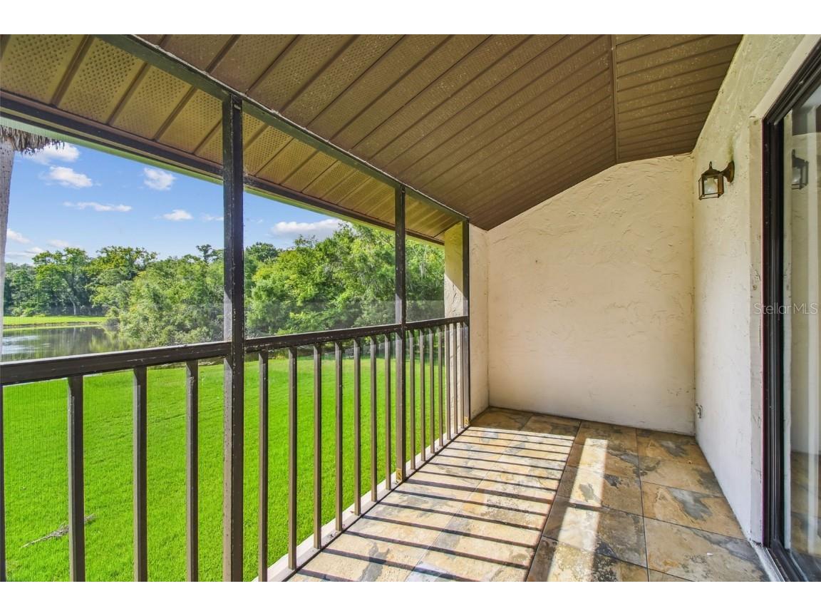 1200 Tarpon Woods Blvd #Q-8 Palm Harbor FL 34685 TB8414018 image33