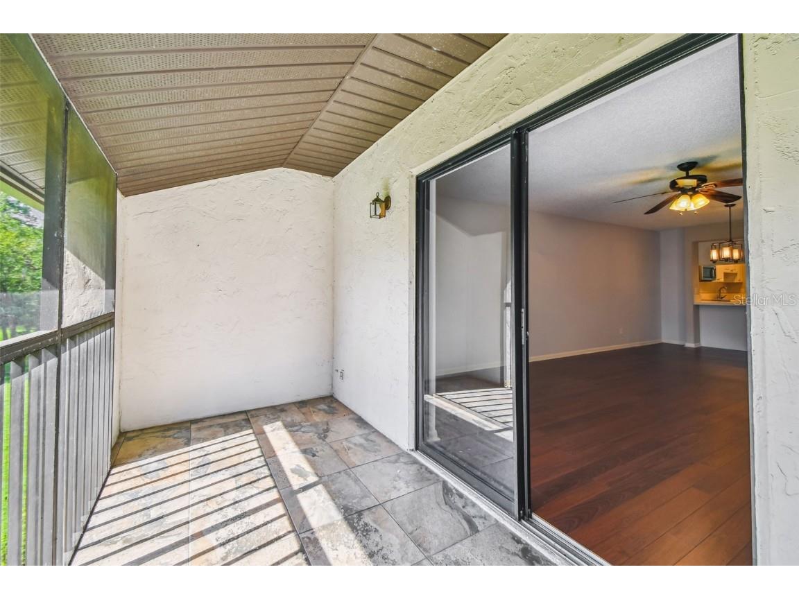 1200 Tarpon Woods Blvd #Q-8 Palm Harbor FL 34685 TB8414018 image34