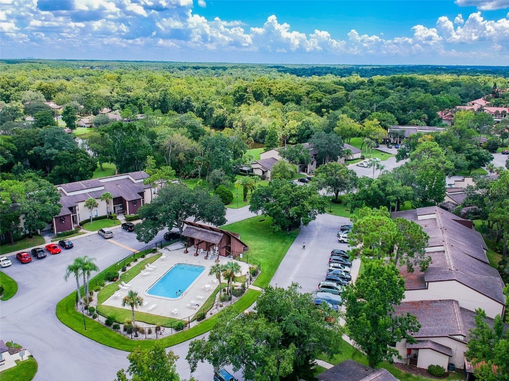 1200 Tarpon Woods Blvd #Q-8 Palm Harbor FL 34685 TB8414018 image36