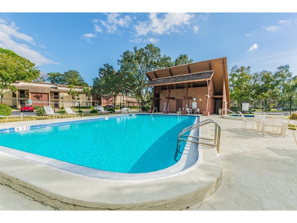 1200 Tarpon Woods Blvd #Q-8 Palm Harbor FL 34685 TB8414018 image40