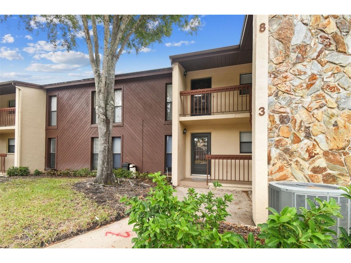 1200 Tarpon Woods Blvd #Q-8 Palm Harbor FL 34685 TB8414018 image45