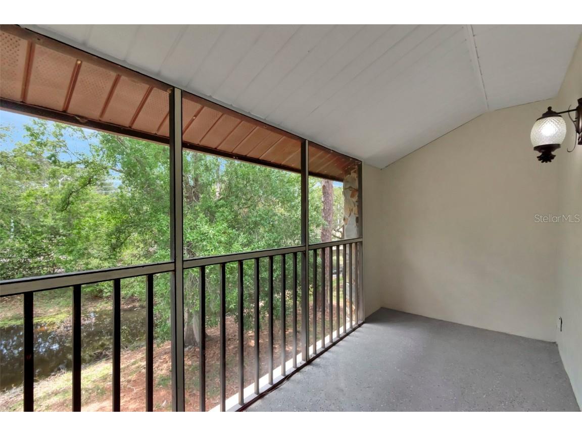 1200 Tarpon Woods Boulevard #M8 Palm Harbor FL 34685 TB8427625 image29