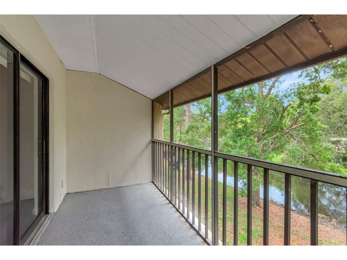 1200 Tarpon Woods Boulevard #M8 Palm Harbor FL 34685 TB8427625 image31