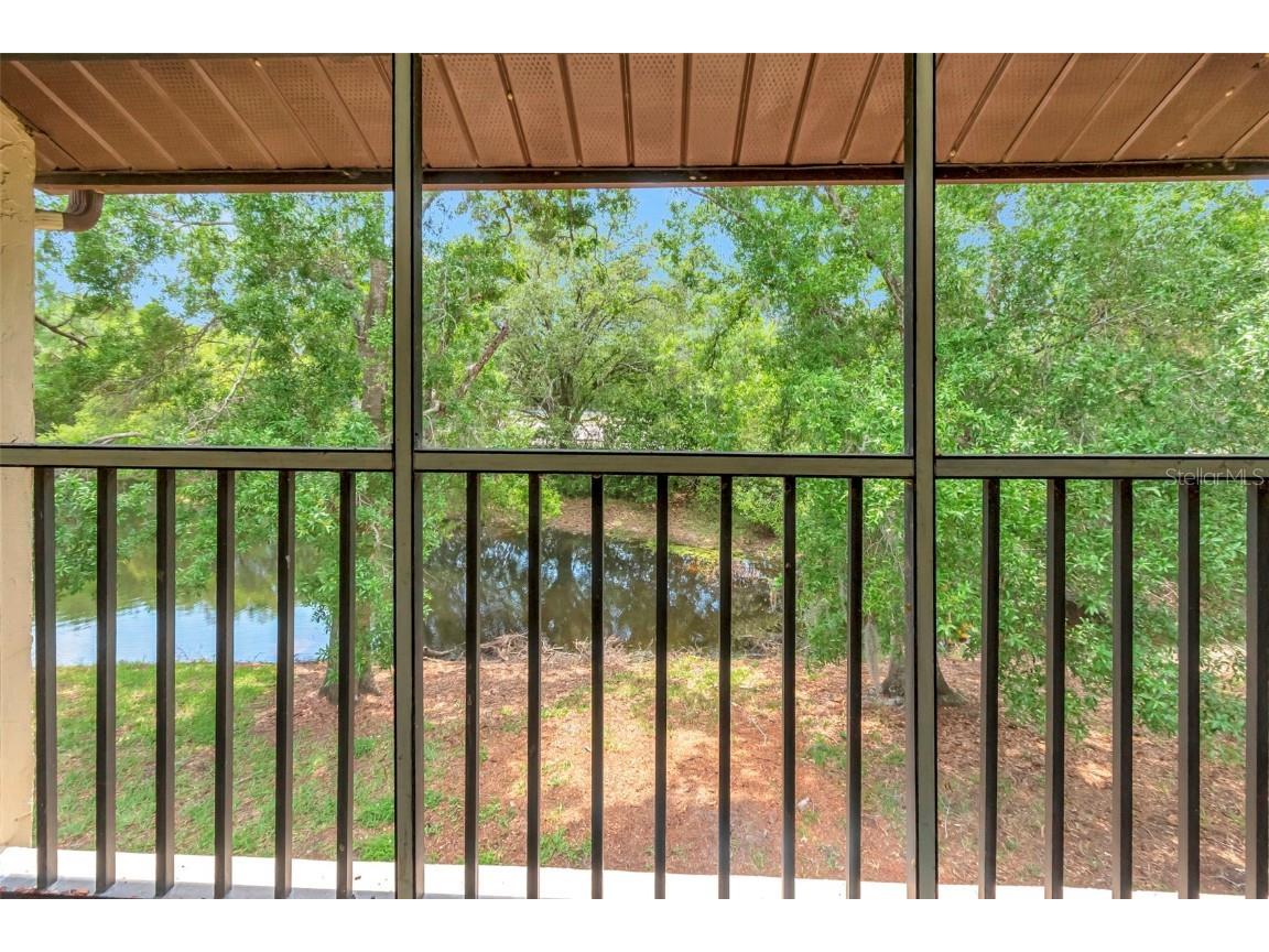 1200 Tarpon Woods Boulevard #M8 Palm Harbor FL 34685 TB8427625 image33