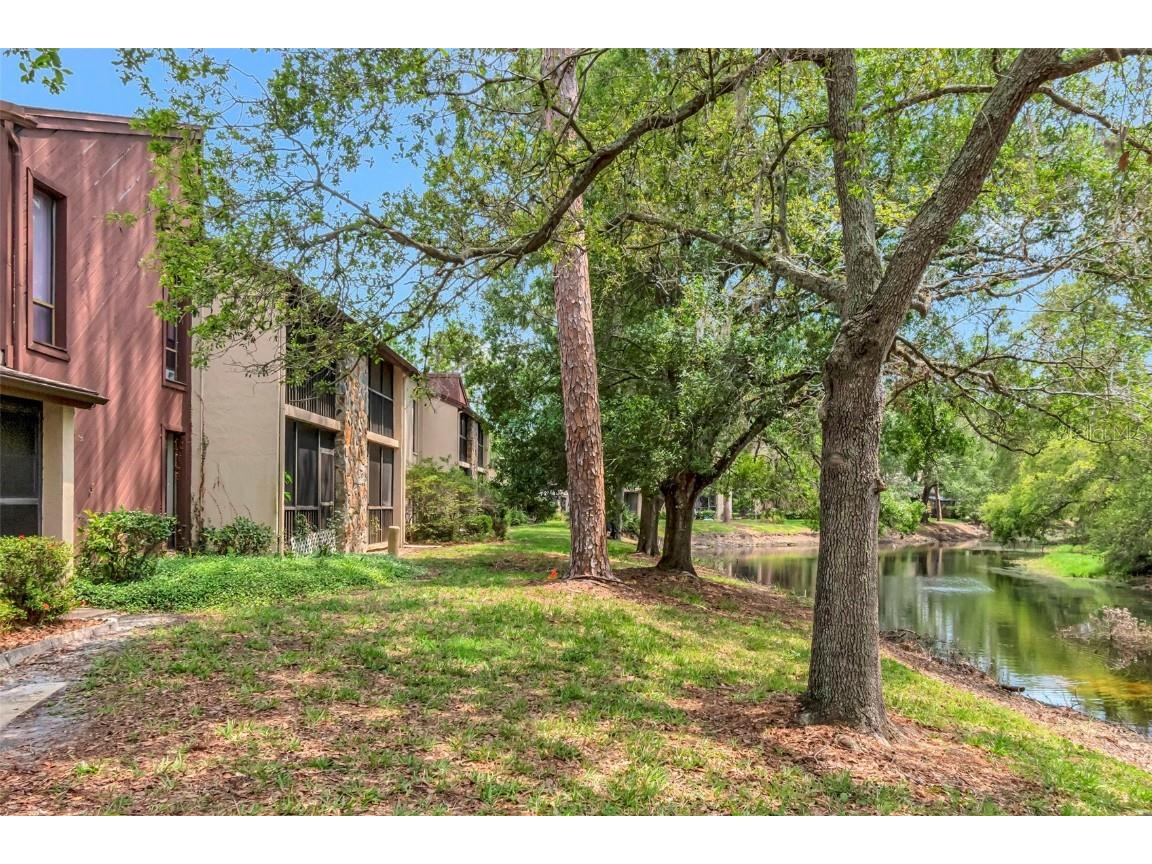 1200 Tarpon Woods Boulevard #M8 Palm Harbor FL 34685 TB8427625 image34