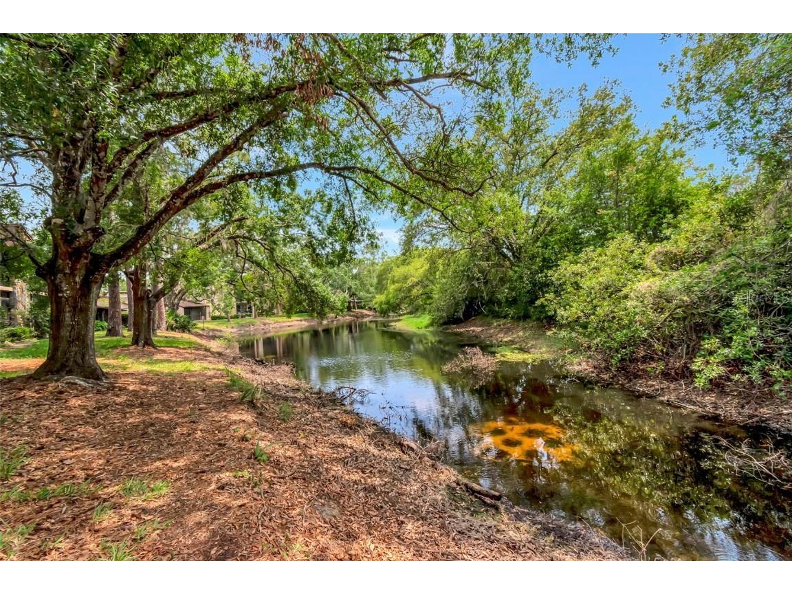 1200 Tarpon Woods Boulevard #M8 Palm Harbor FL 34685 TB8427625 image35