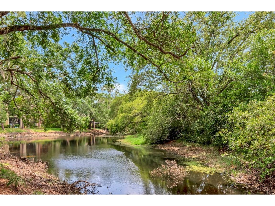 1200 Tarpon Woods Boulevard #M8 Palm Harbor FL 34685 TB8427625 image36