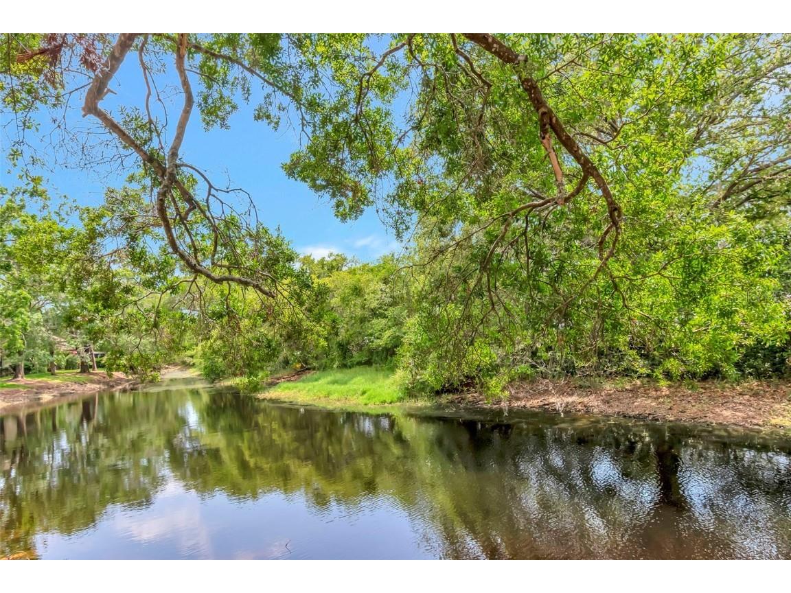 1200 Tarpon Woods Boulevard #M8 Palm Harbor FL 34685 TB8427625 image38