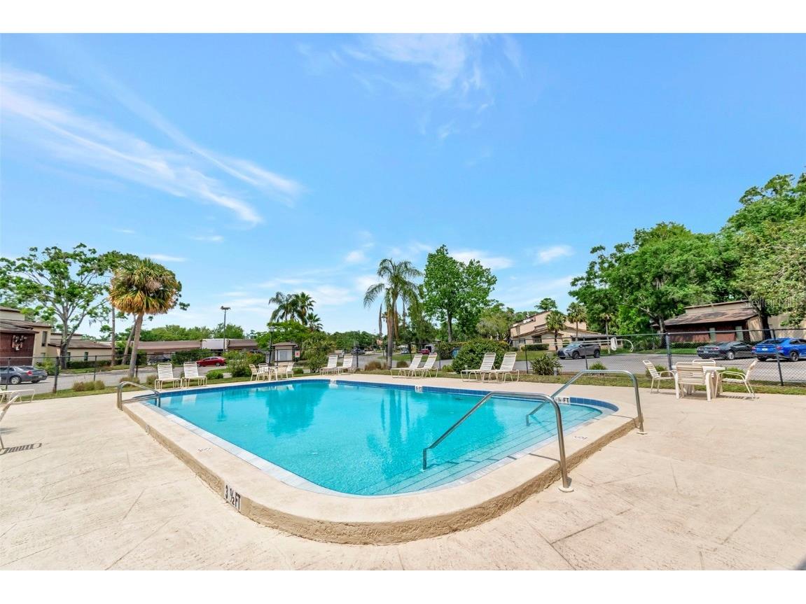 1200 Tarpon Woods Boulevard #M8 Palm Harbor FL 34685 TB8427625 image41