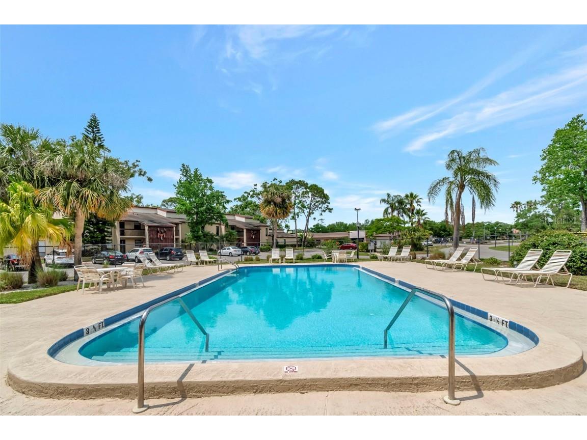 1200 Tarpon Woods Boulevard #M8 Palm Harbor FL 34685 TB8427625 image42