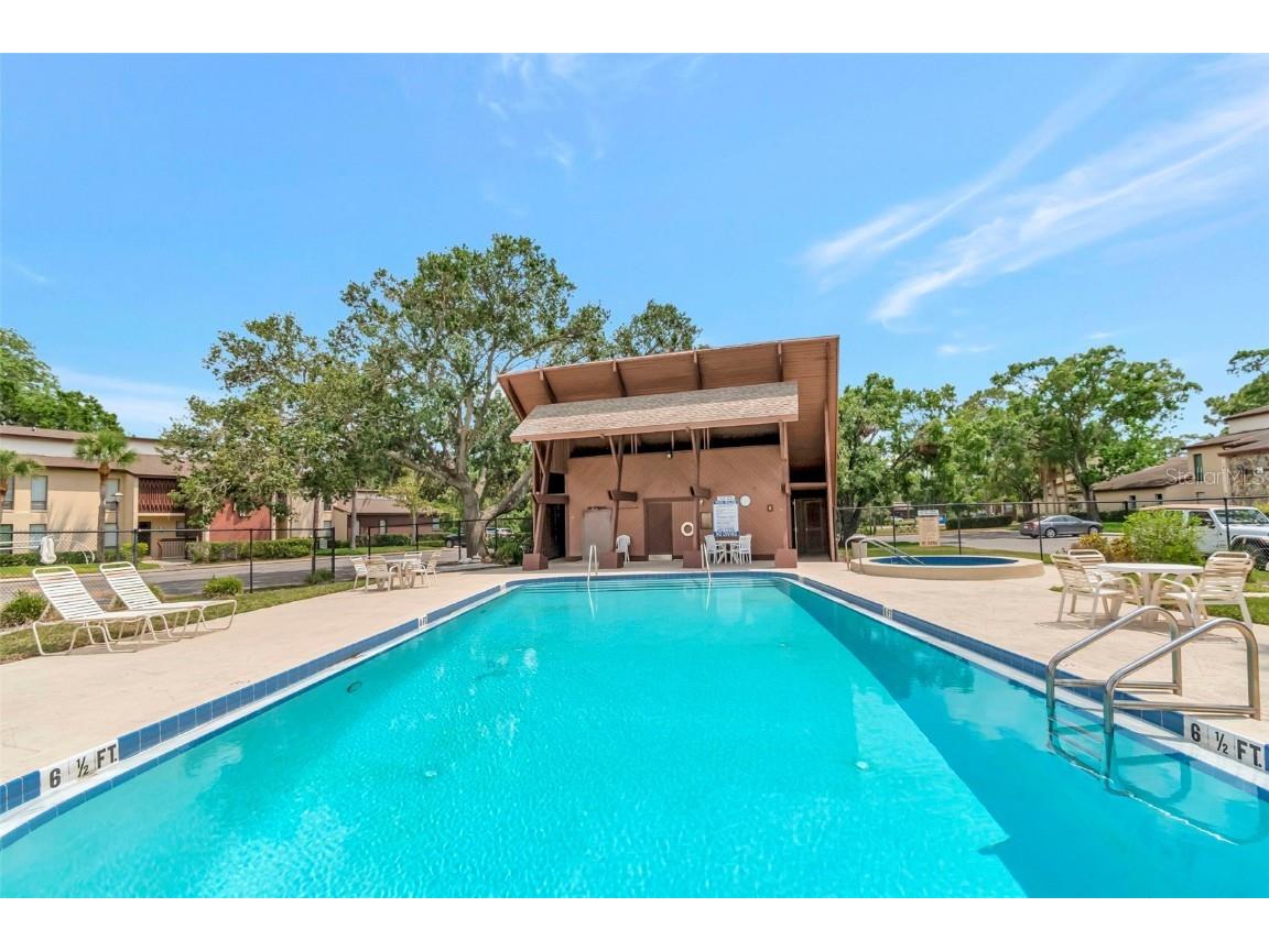 1200 Tarpon Woods Boulevard #M8 Palm Harbor FL 34685 TB8427625 image44