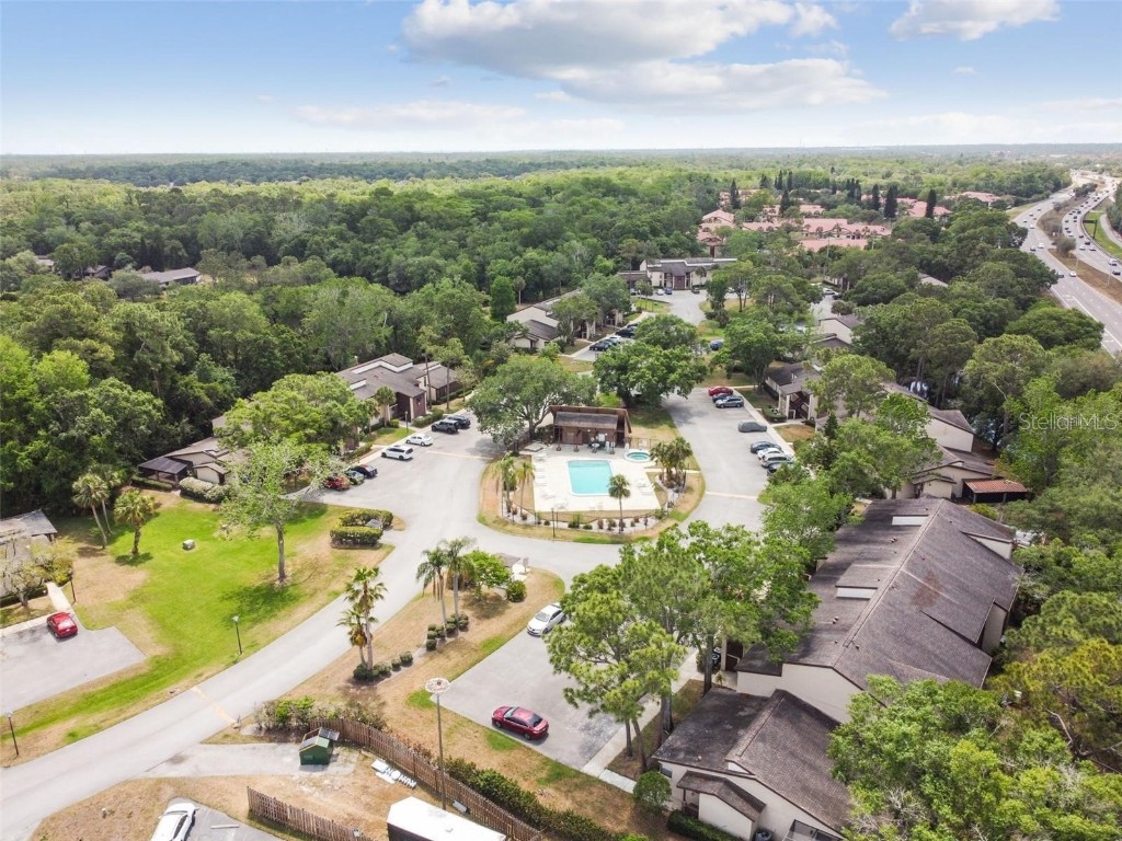 1200 Tarpon Woods Boulevard #M8 Palm Harbor FL 34685 TB8427625 image45