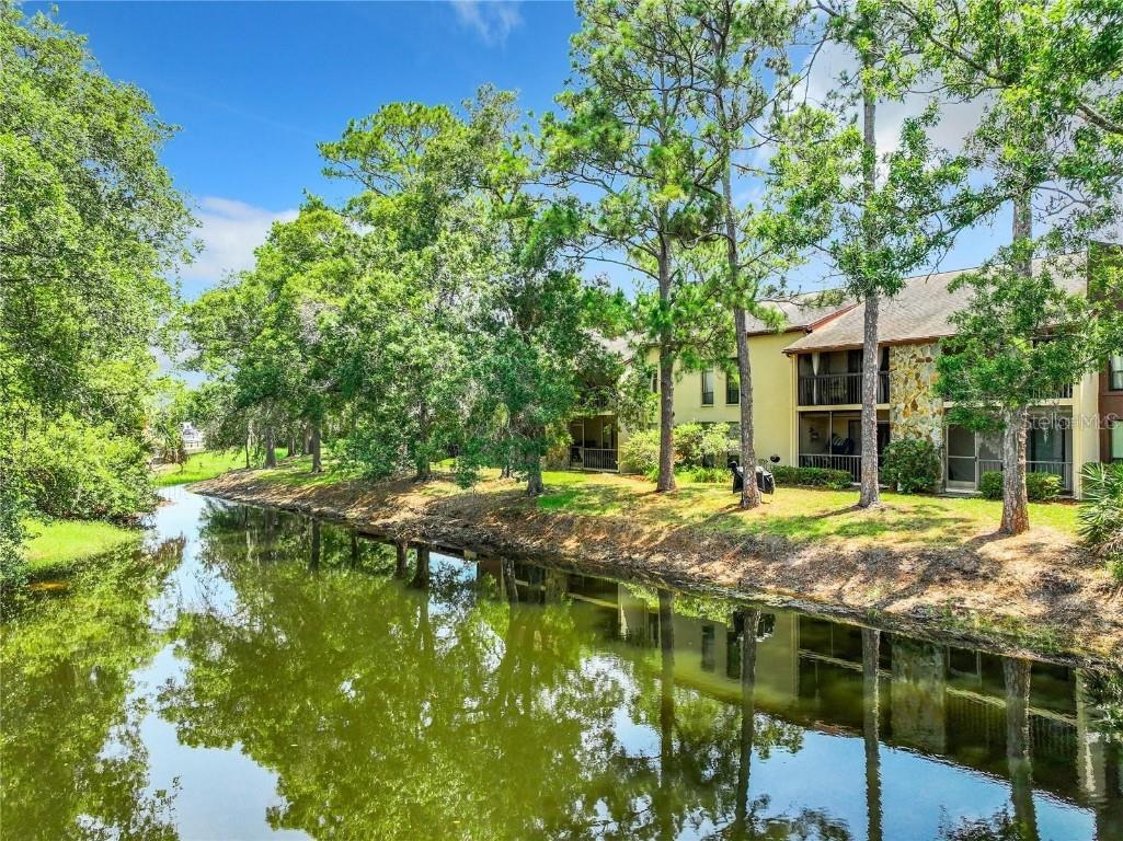 1200 Tarpon Woods Boulevard #M8 Palm Harbor FL 34685 TB8427625 image49