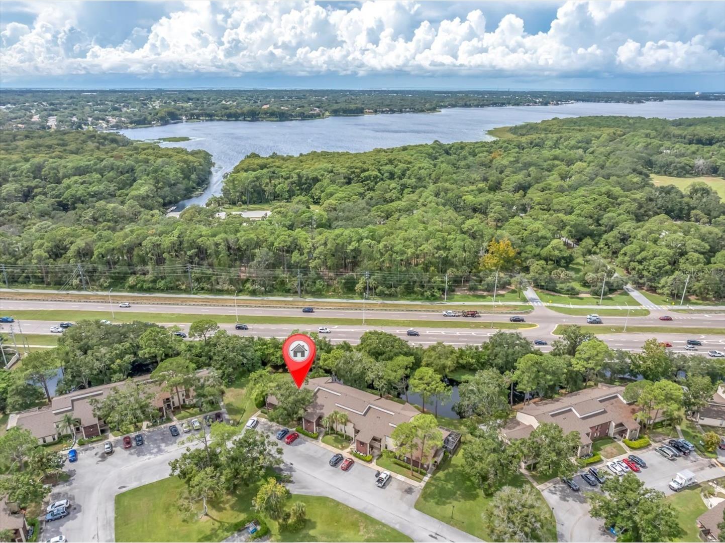 1200 Tarpon Woods Boulevard #N10 Palm Harbor FL 34685 L4956409 image1