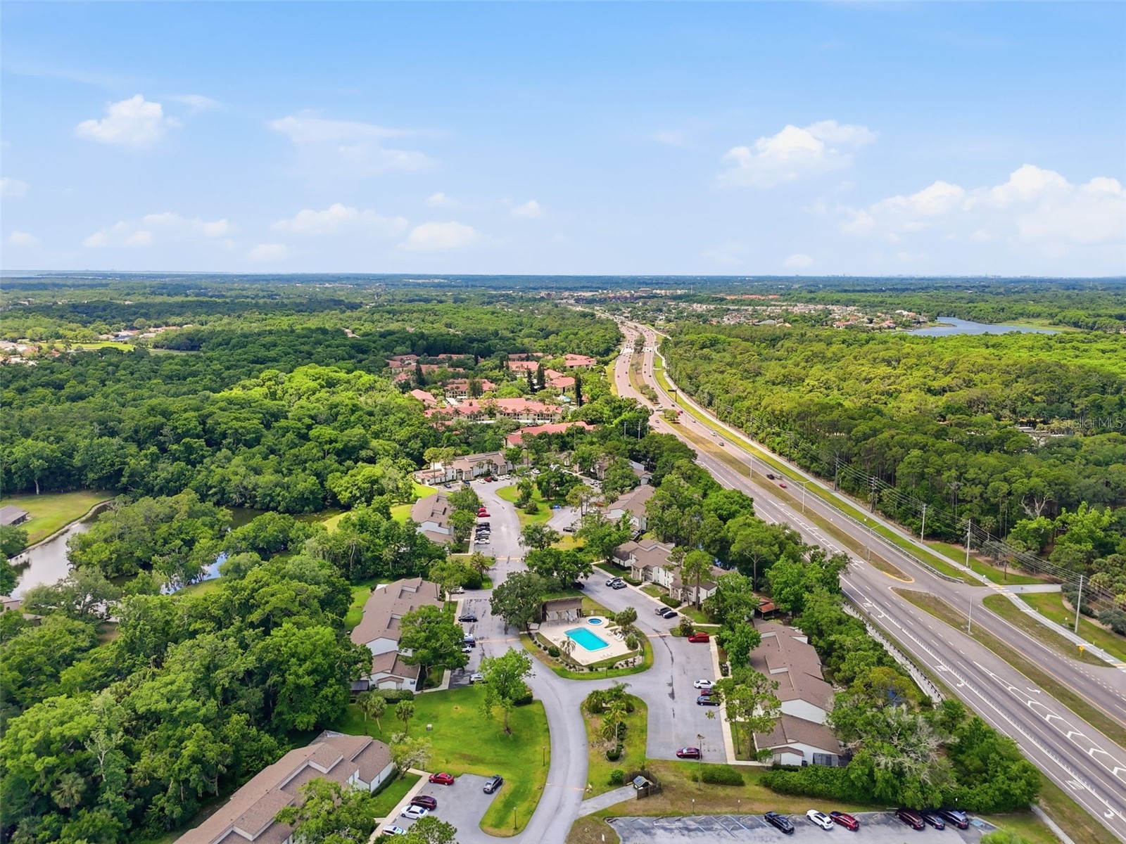 1200 Tarpon Woods Boulevard #N2 Palm Harbor FL 34685 TB8469318 image22