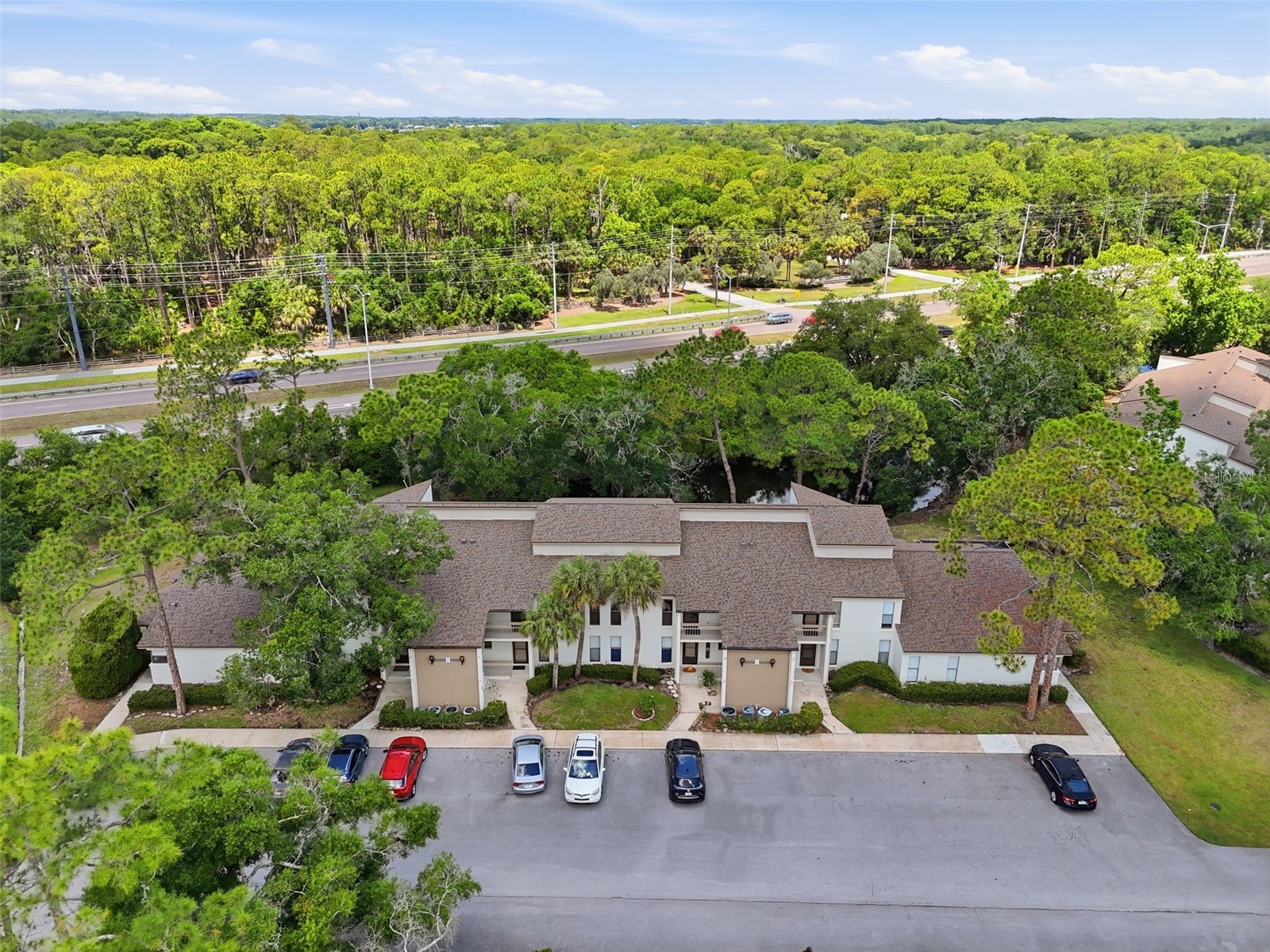 1200 Tarpon Woods Boulevard #N2 Palm Harbor FL 34685 TB8469318 image24