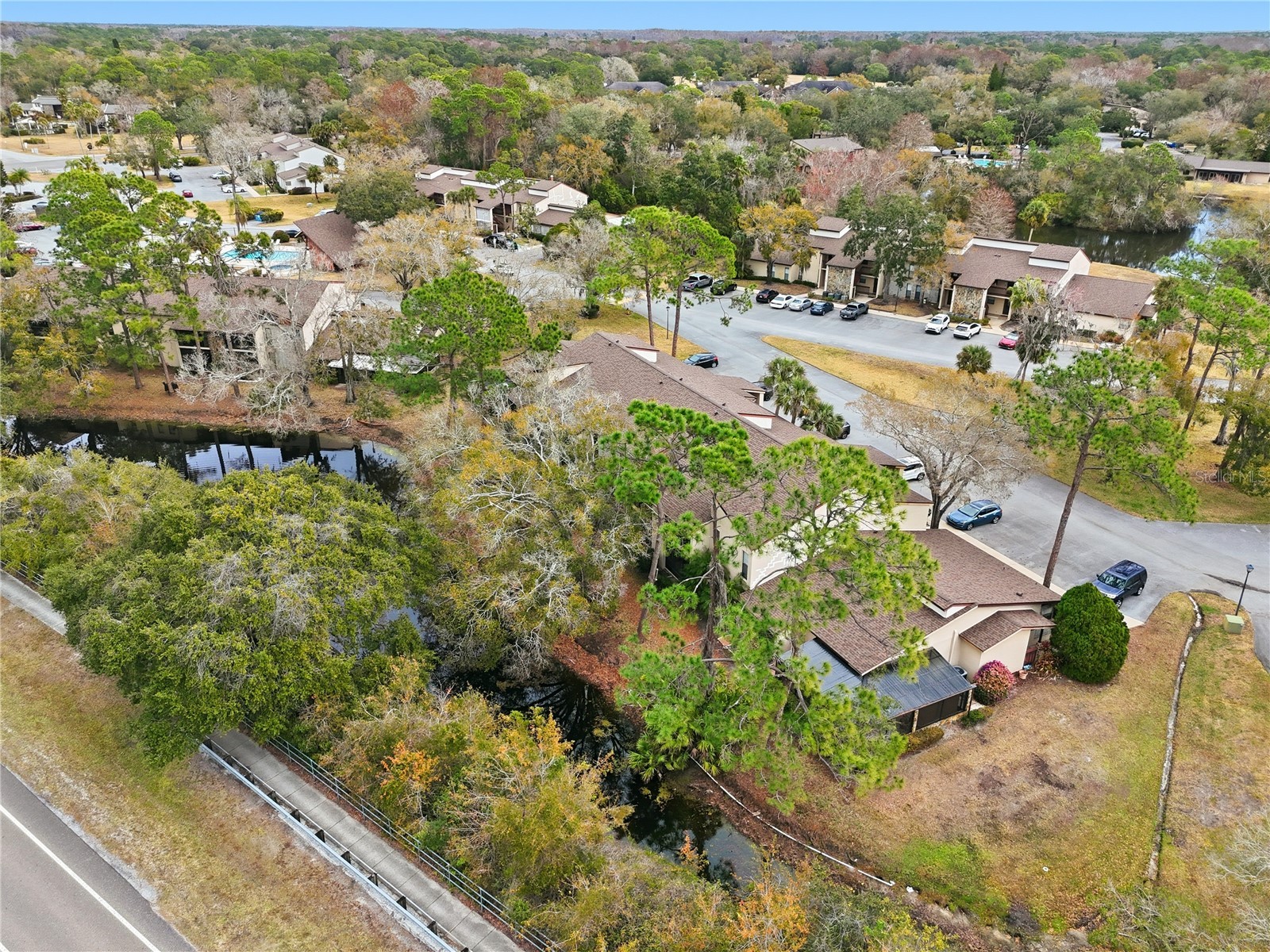 1200 Tarpon Woods Boulevard #N2 Palm Harbor FL 34685 TB8469318 image27