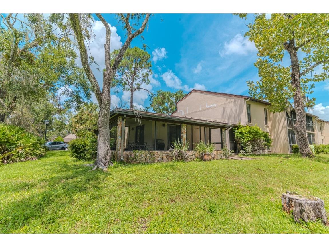 1200 Tarpon Woods Boulevard #P1 Palm Harbor FL 34685 TB8423219 image10