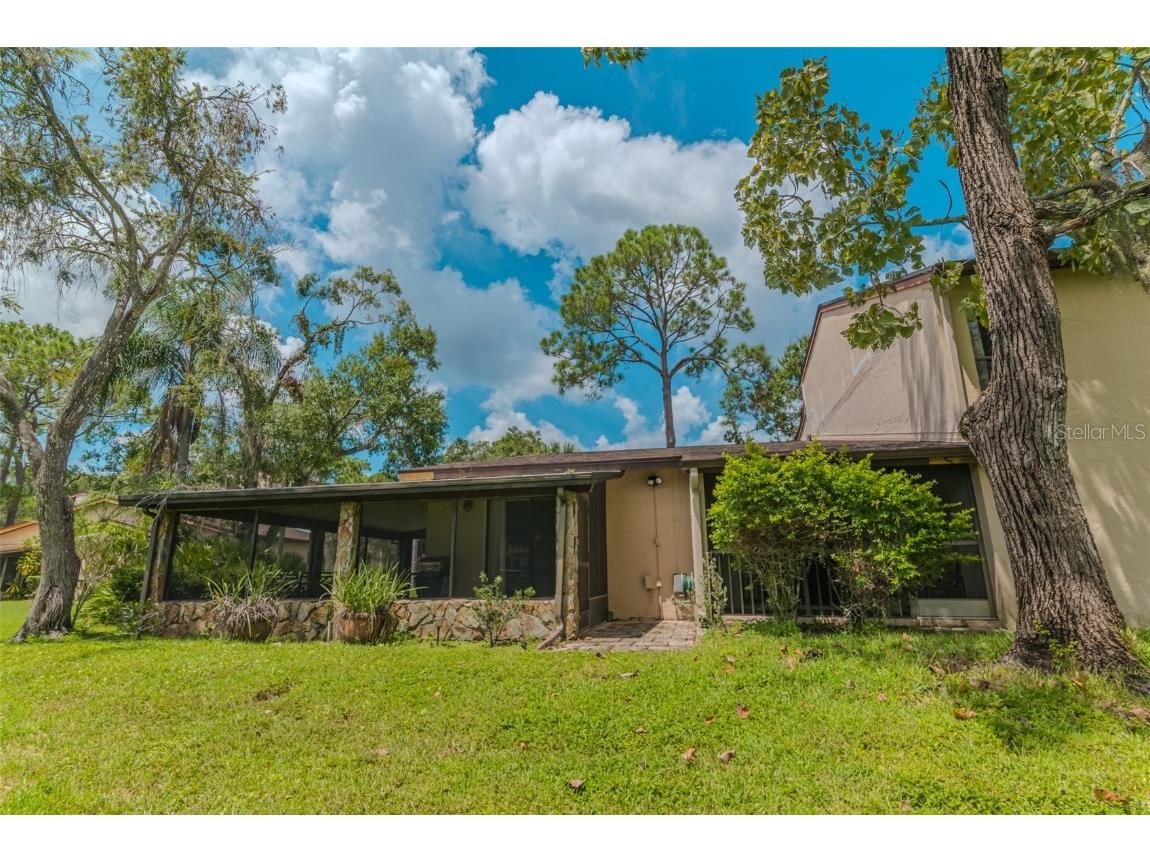 1200 Tarpon Woods Boulevard #P1 Palm Harbor FL 34685 TB8423219 image11