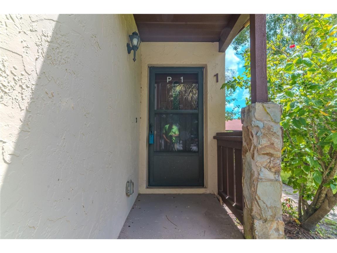 1200 Tarpon Woods Boulevard #P1 Palm Harbor FL 34685 TB8423219 image2