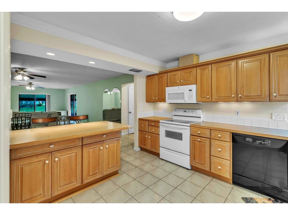 1200 Tarpon Woods Boulevard #P1 Palm Harbor FL 34685 TB8423219 image23