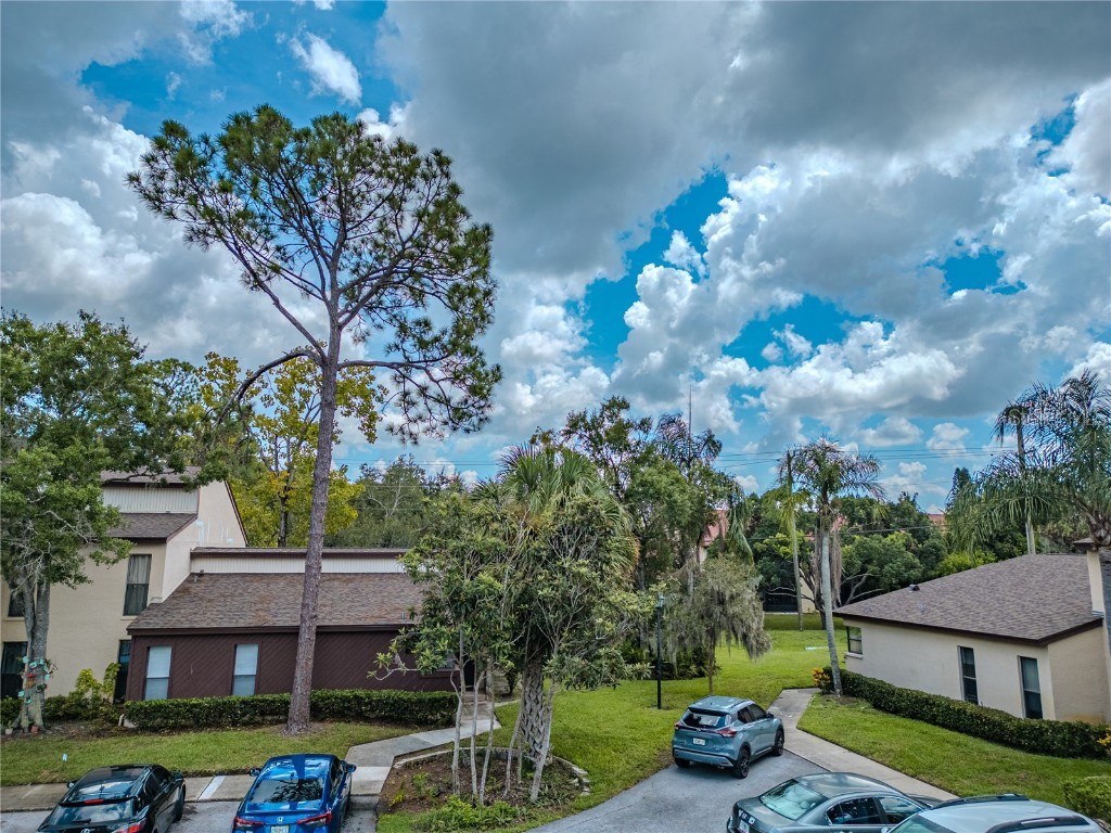 1200 Tarpon Woods Boulevard #P1 Palm Harbor FL 34685 TB8423219 image3