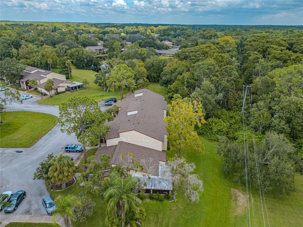 1200 Tarpon Woods Boulevard #P1 Palm Harbor FL 34685 TB8423219 image4