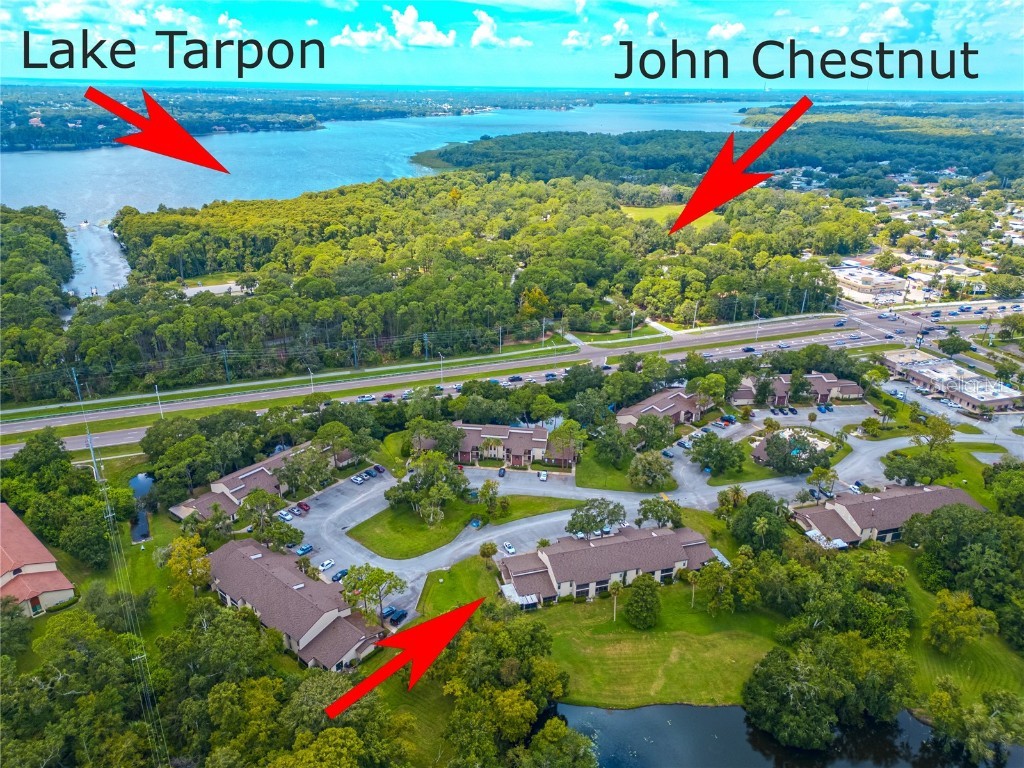 1200 Tarpon Woods Boulevard #P1 Palm Harbor FL 34685 TB8423219 image6