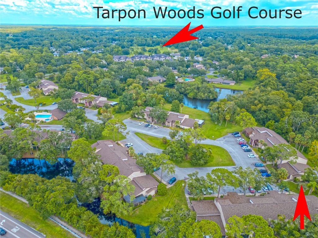 1200 Tarpon Woods Boulevard #P1 Palm Harbor FL 34685 TB8423219 image7