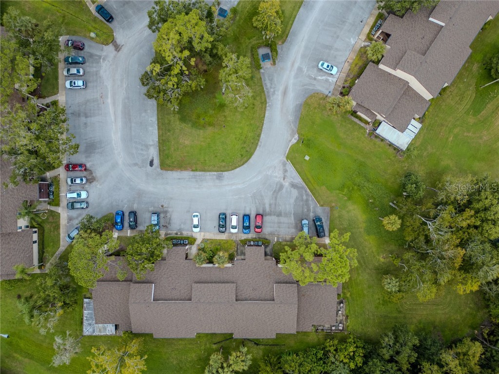 1200 Tarpon Woods Boulevard #P1 Palm Harbor FL 34685 TB8423219 image8