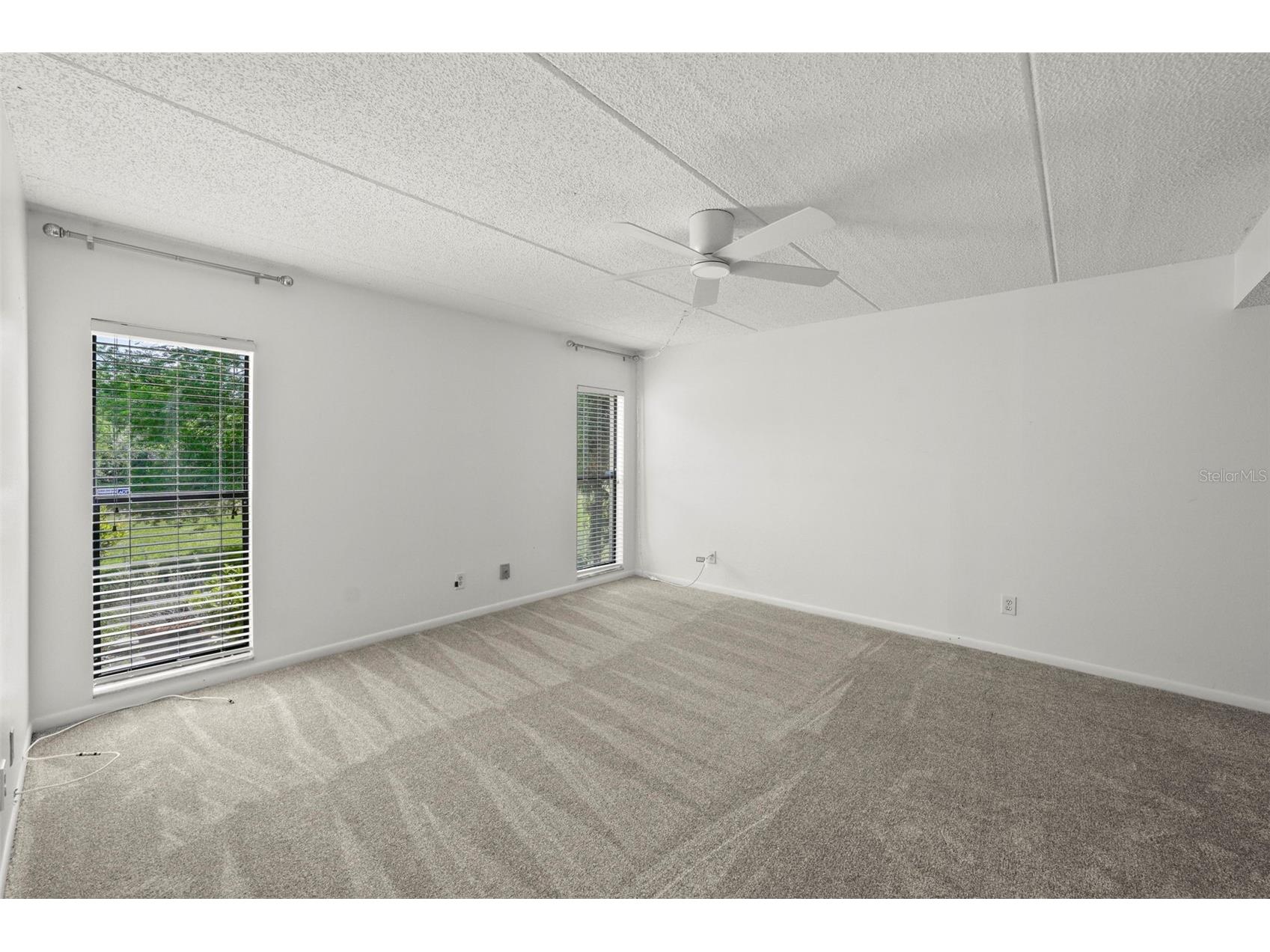1200 Tarpon Woods Boulevard #Q4 Palm Harbor FL 34685 W7886494 image14