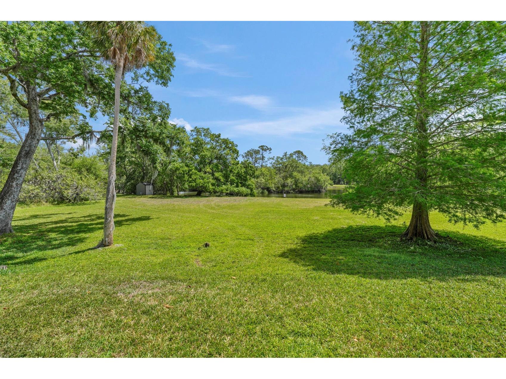 1200 Tarpon Woods Boulevard #Q4 Palm Harbor FL 34685 W7886494 image26