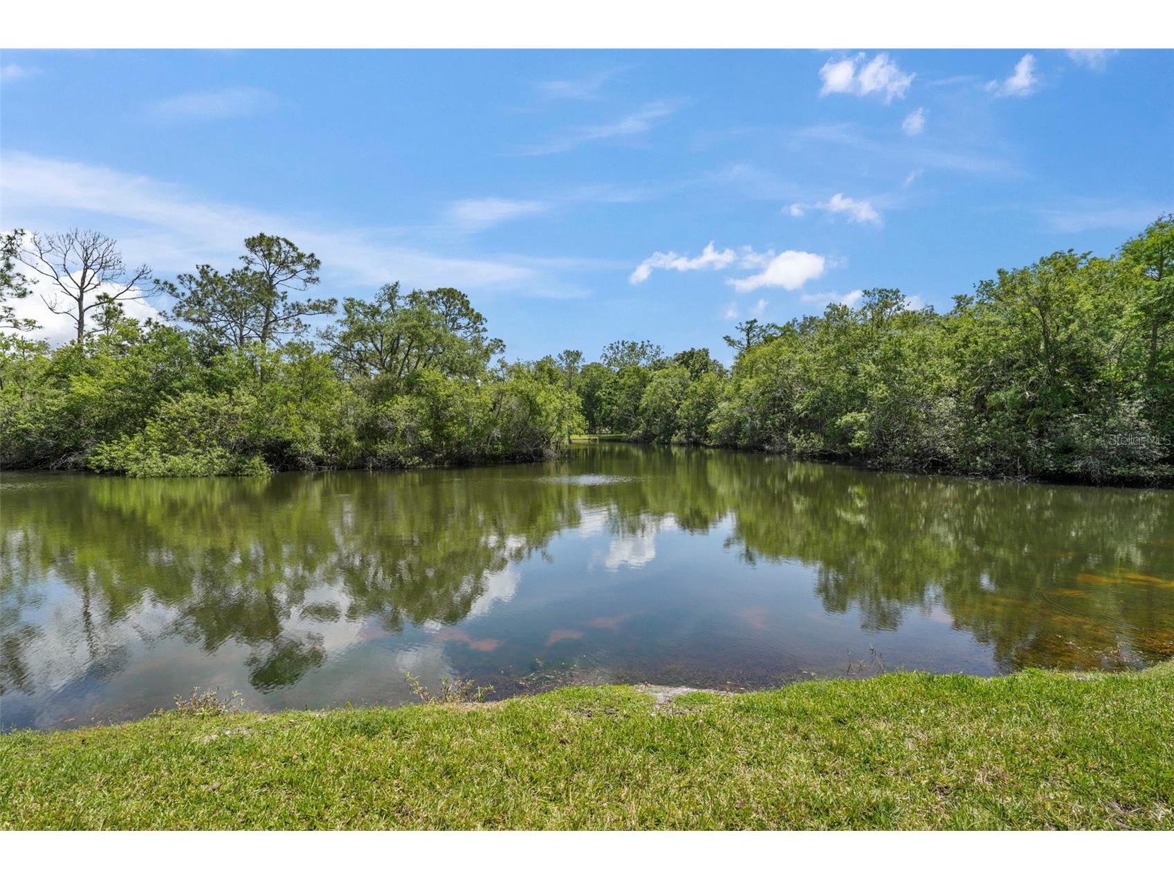 1200 Tarpon Woods Boulevard #Q4 Palm Harbor FL 34685 W7886494 image27