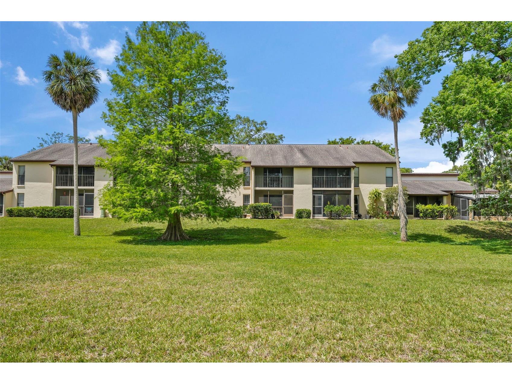 1200 Tarpon Woods Boulevard #Q4 Palm Harbor FL 34685 W7886494 image28