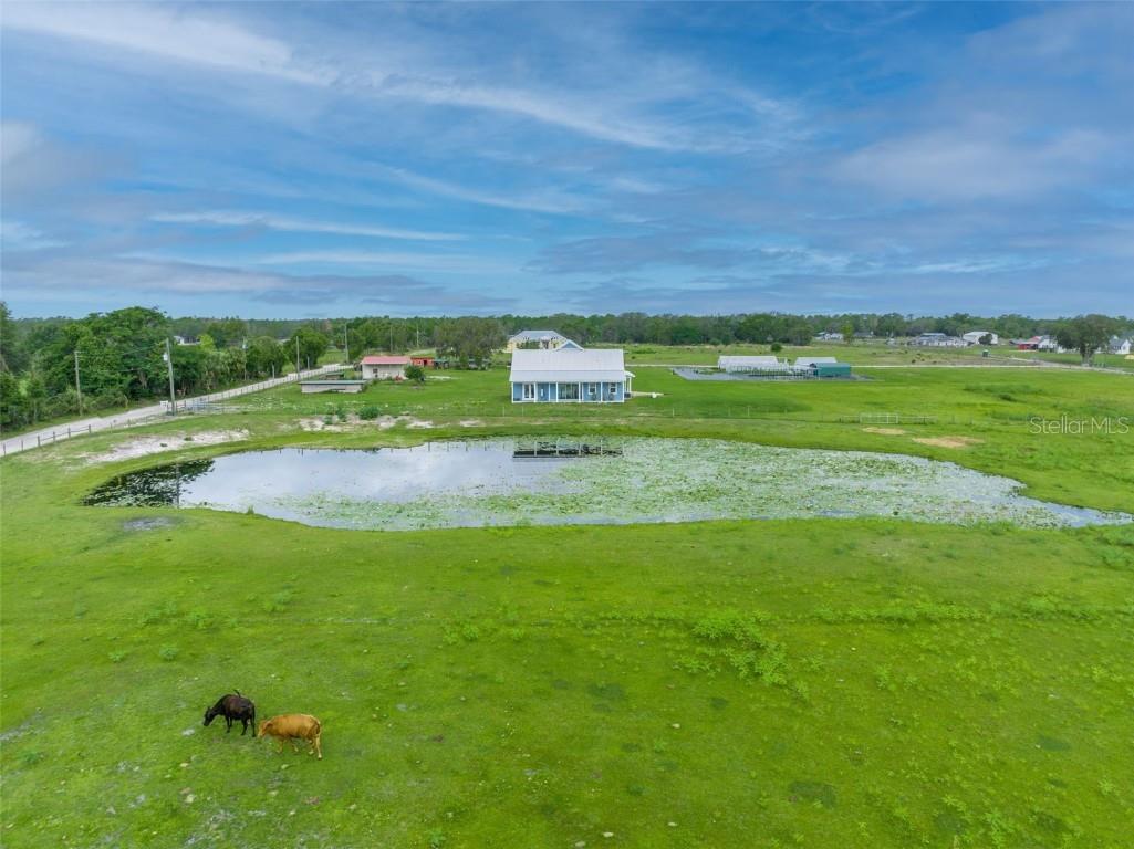 1200 Teal Road Geneva FL 32732 O6089692 image1