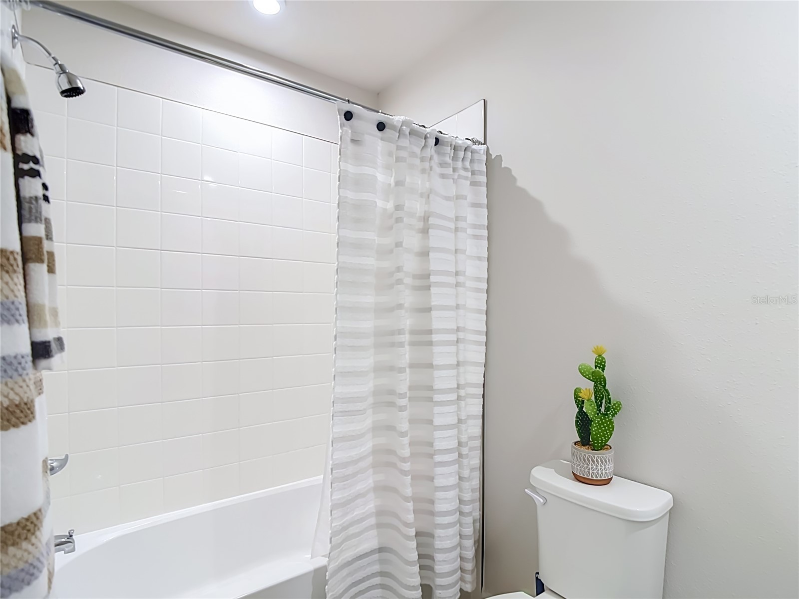 12000 Grizzly Lane New Port Richey FL 34654 W7887353 image41