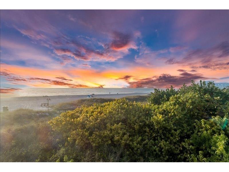 12000 Gulf Boulevard #311N Saint Petersburg FL 33706 TB8459912 image39