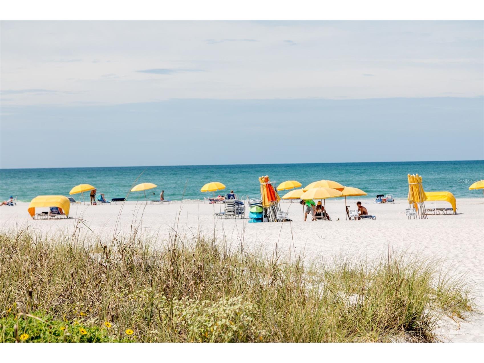 12000 Gulf Boulevard #311N Saint Petersburg FL 33706 TB8459912 image48