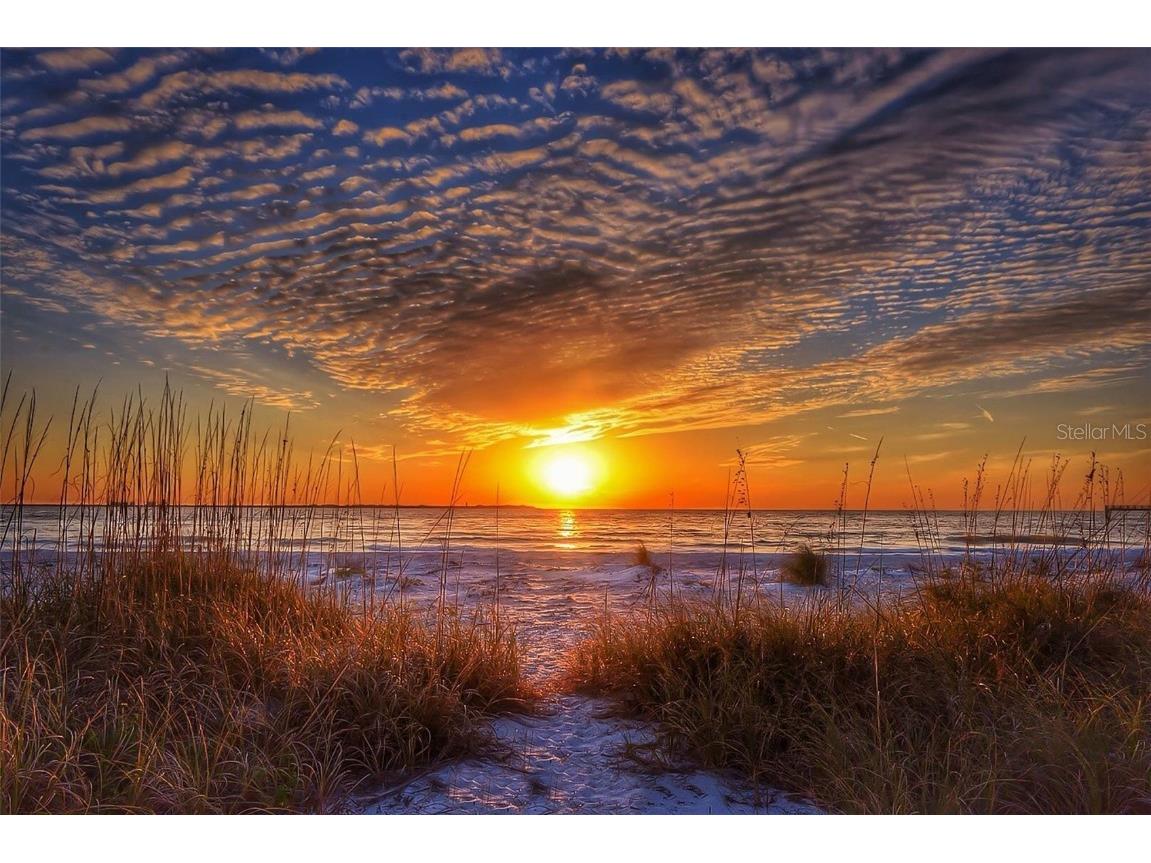 12000 Gulf Boulevard #604N Saint Petersburg FL 33706 - GULF OF MEXICO TB8451156 image58