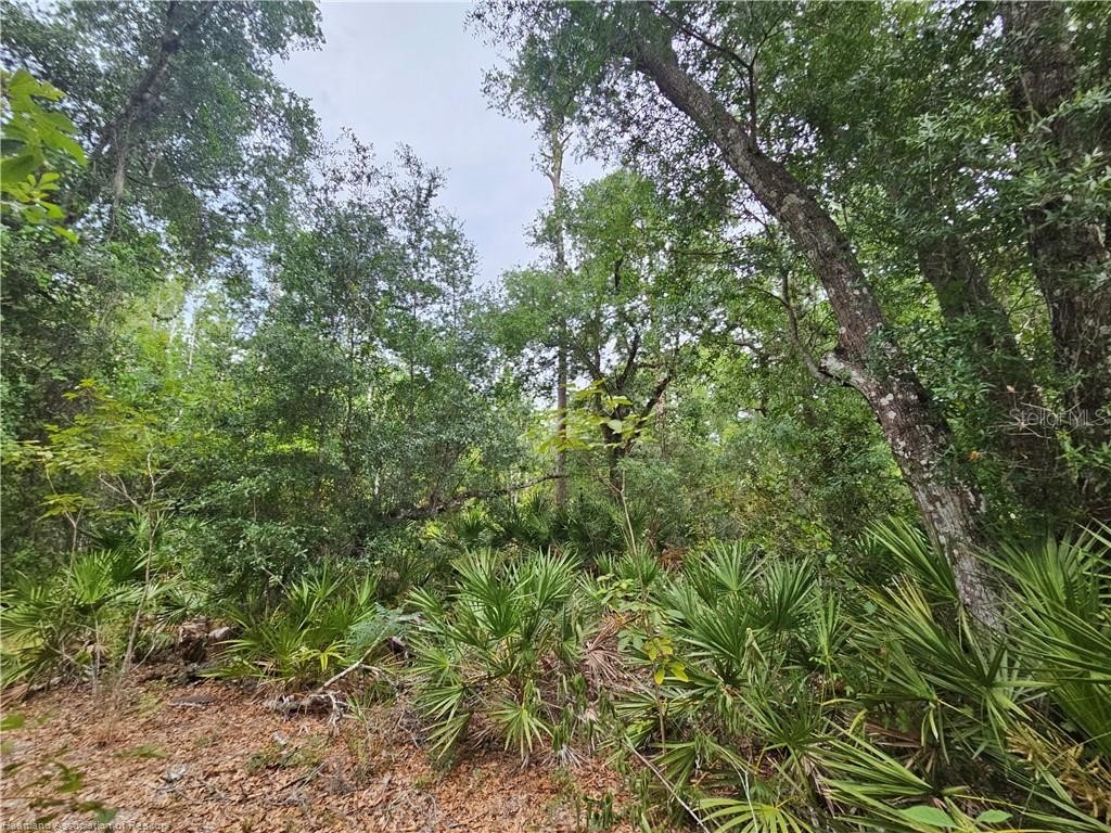 12000 Us-98 Sebring FL 33876 L4962115 image12