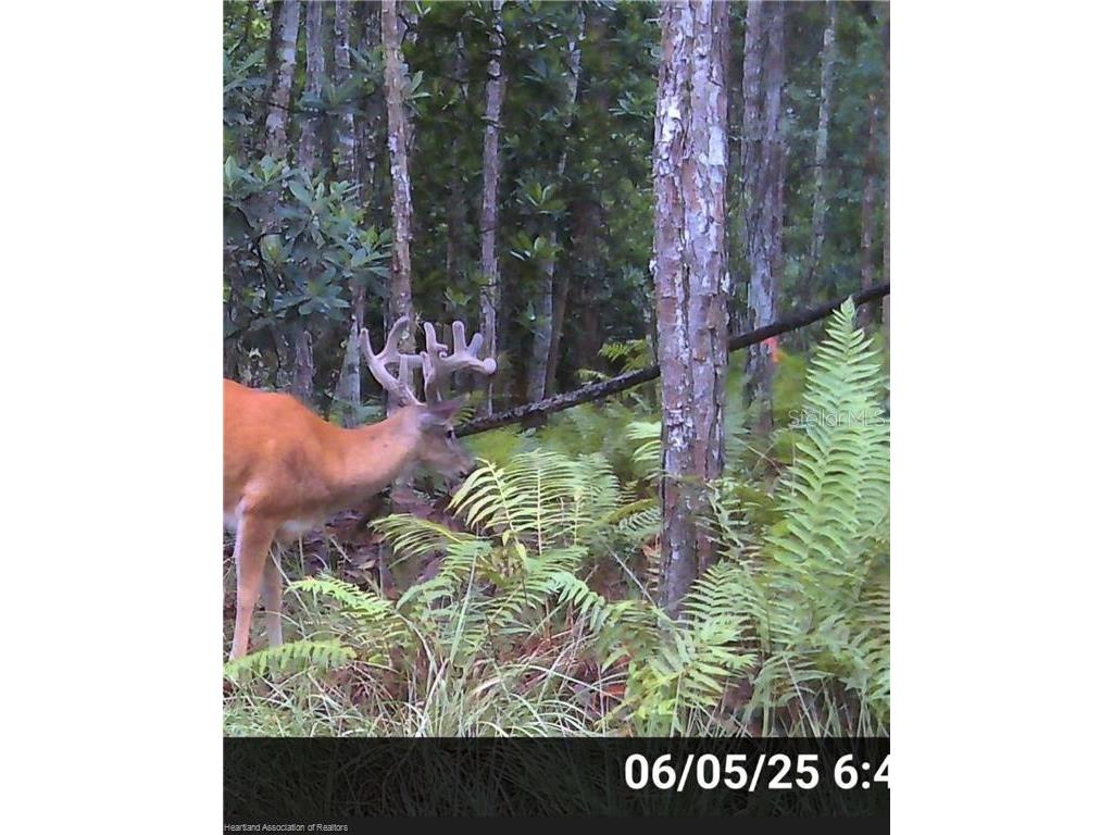 12000 Us-98 Sebring FL 33876 L4962115 image4