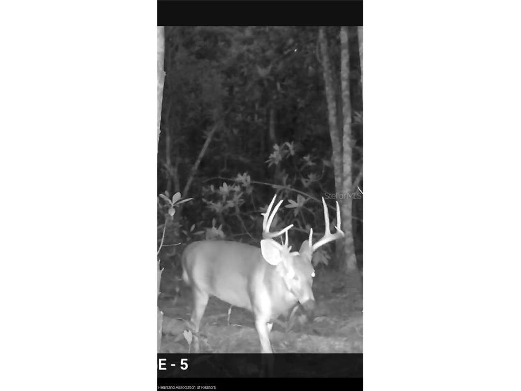 12000 Us-98 Sebring FL 33876 L4962115 image5
