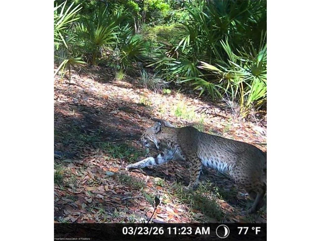 12000 Us-98 Sebring FL 33876 L4962115 image6