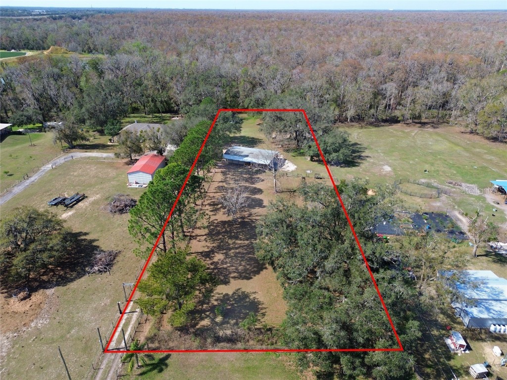 12001 Dozer Lane Thonotosassa FL 33592 TB8347528 image1