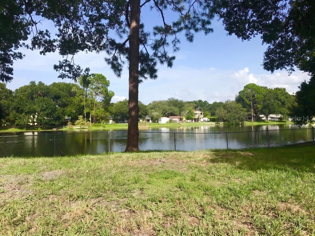 12001 N Gomez Avenue Tampa FL 33618 TB8503572 image17