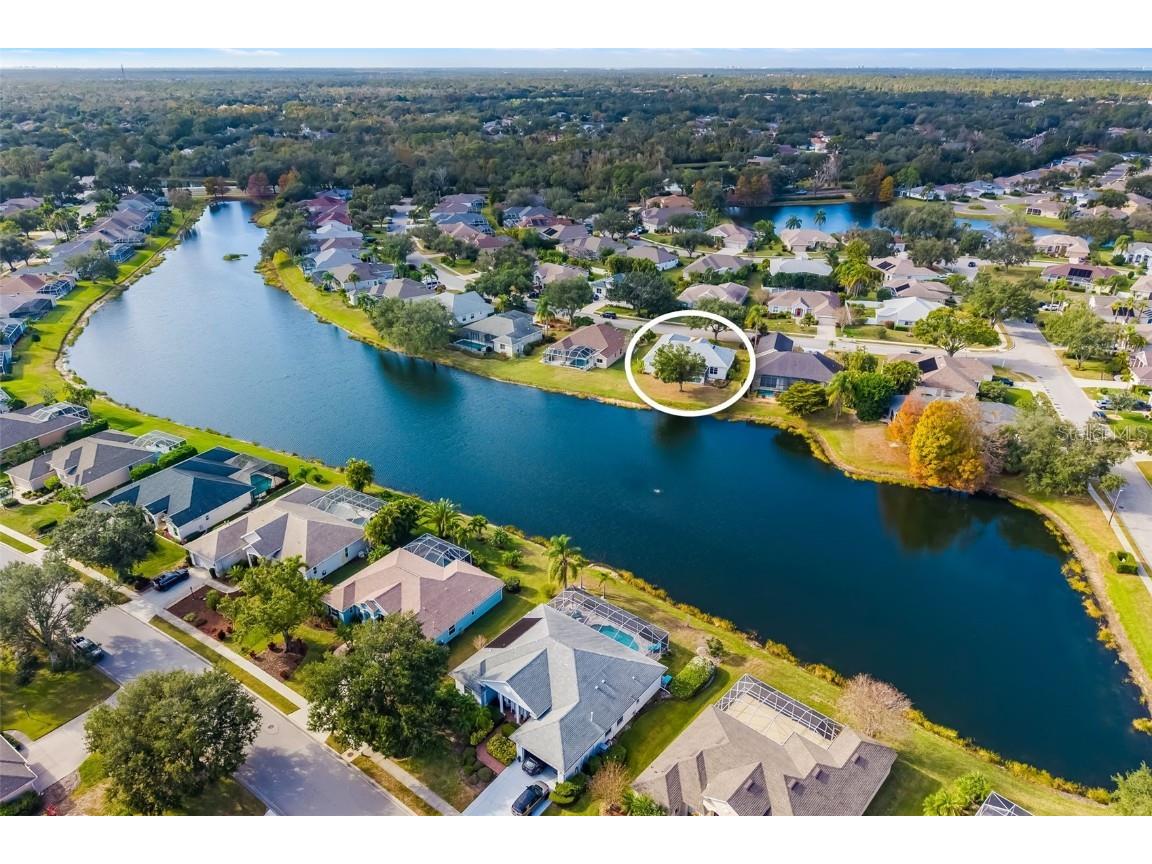 12002 Soft Rush Terrace Lakewood Ranch FL 34202 A4677095 image2