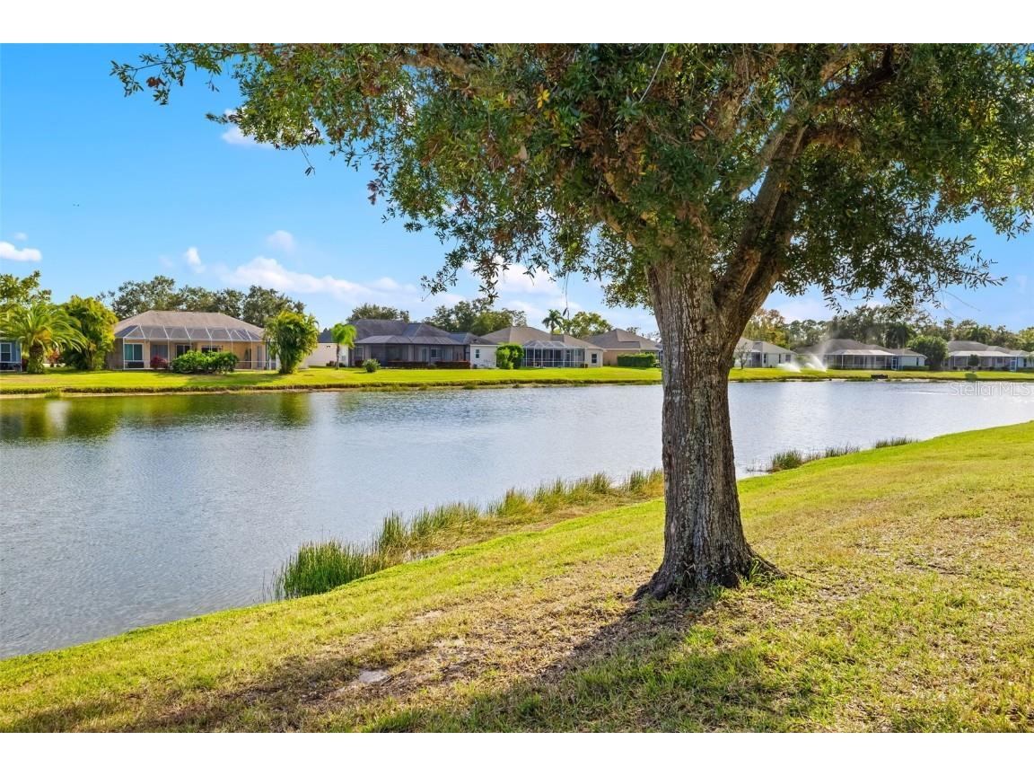 12002 Soft Rush Terrace Lakewood Ranch FL 34202 A4677095 image51