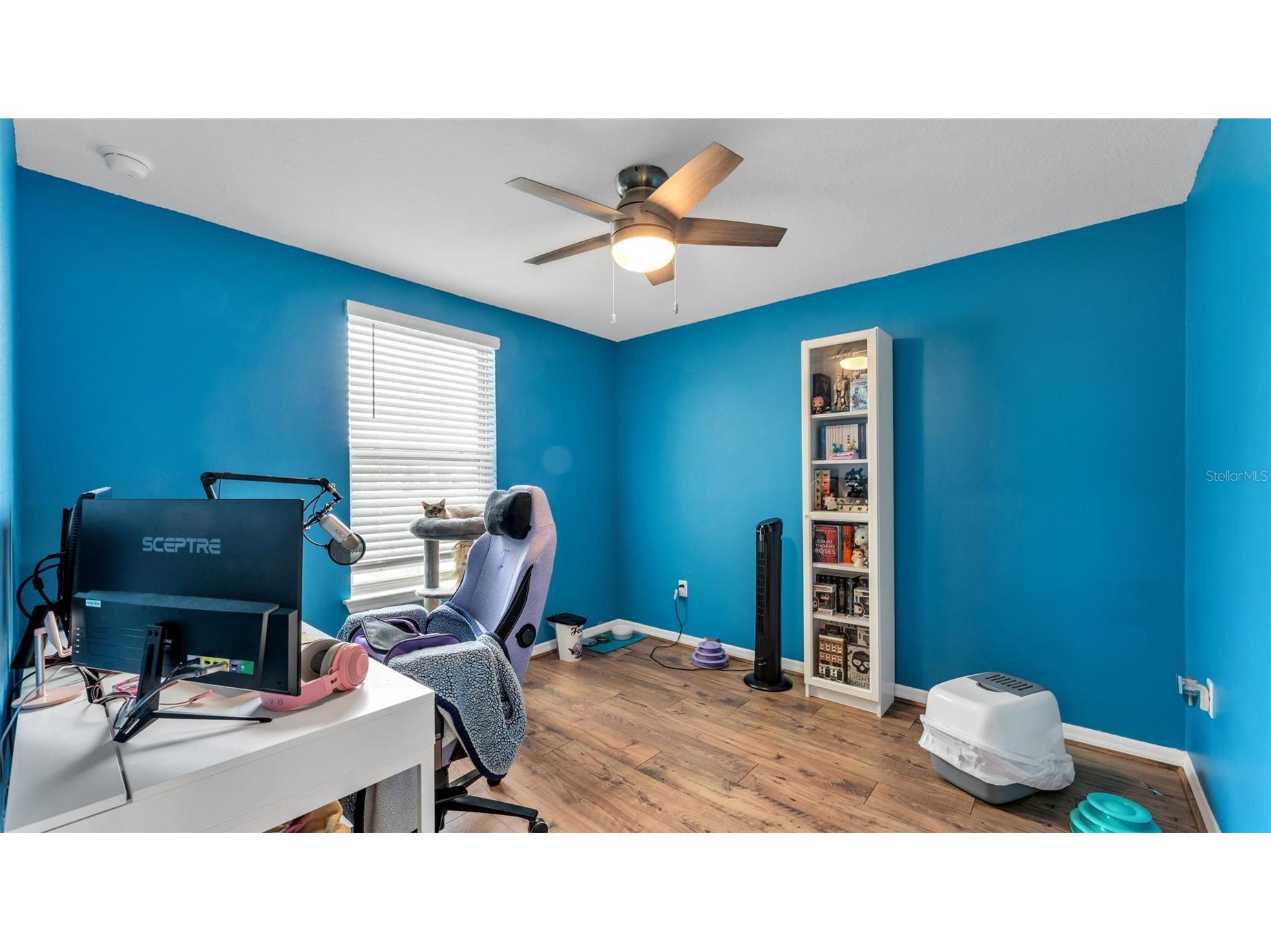 12003 Holystone Street Winter Garden FL 34787 L4961121 image31