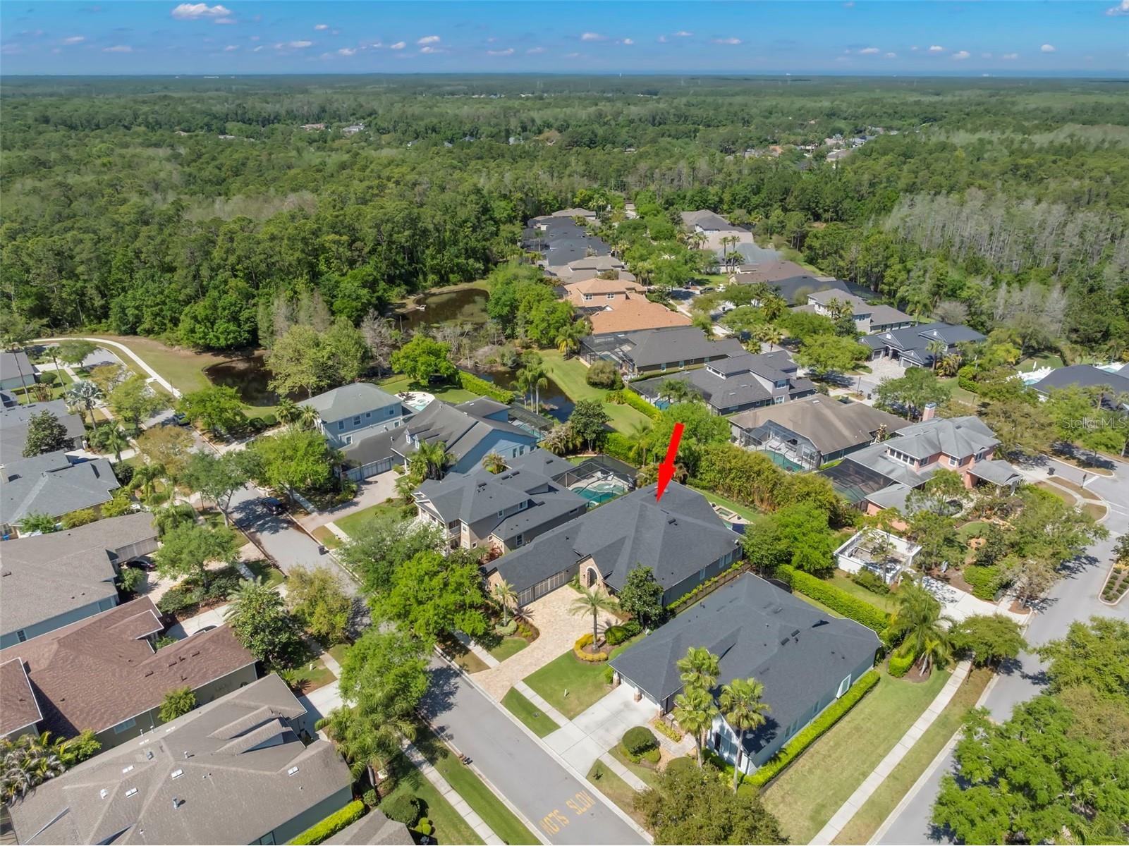 12003 San Chaliford Court Tampa FL 33626 TB8488480 image64