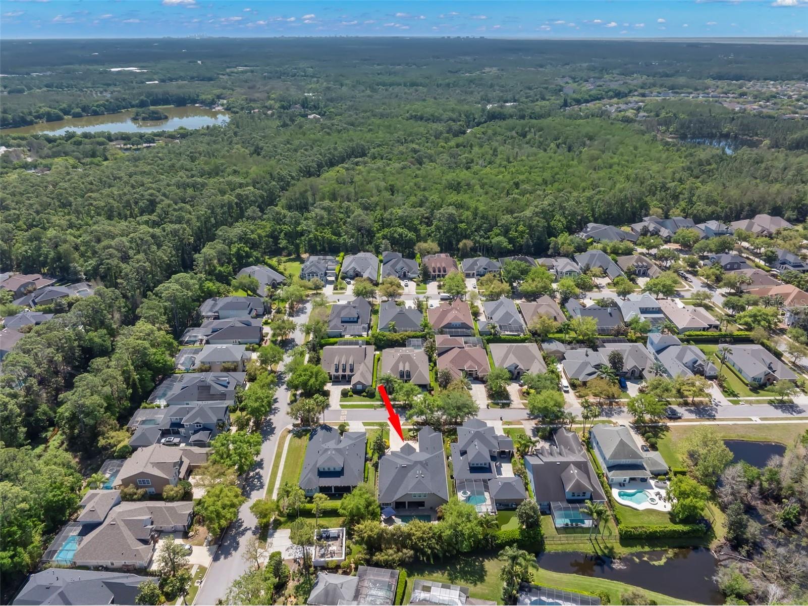 12003 San Chaliford Court Tampa FL 33626 TB8488480 image65
